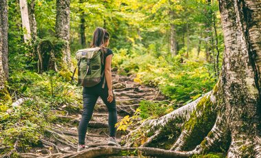 Auf einem Wanderweg im Wald, genießen Sie das Wandern mit Ringhotels  | © Adobestock_291634839_Maridav