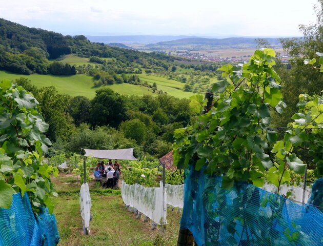 Hauseigener Weinberg | © Hotel Hasen