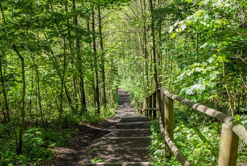 Wanderweg bei Brochterbeck | © Wanderweg bei Brochterbeck/Sabine Braungart