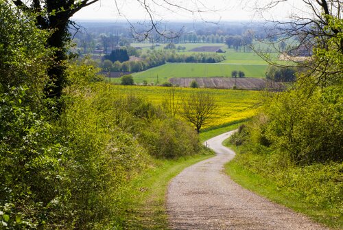 The 4-star-superior hotel Ringhotel Teutoburger Wald in Tecklenburg is surrounded by varied hiking trails | © Ringhotel Teutoburger Wald, Östl. Kleeberg/Sabine Braungart
